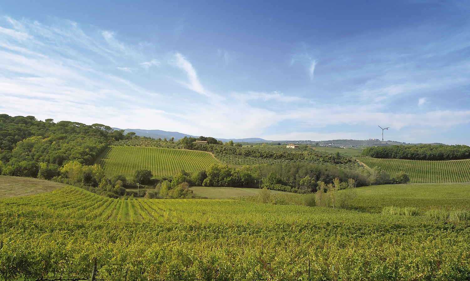 Agricoltura biologica in Franciacorta