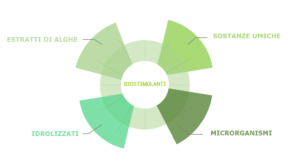 composizione dei biostimolanti