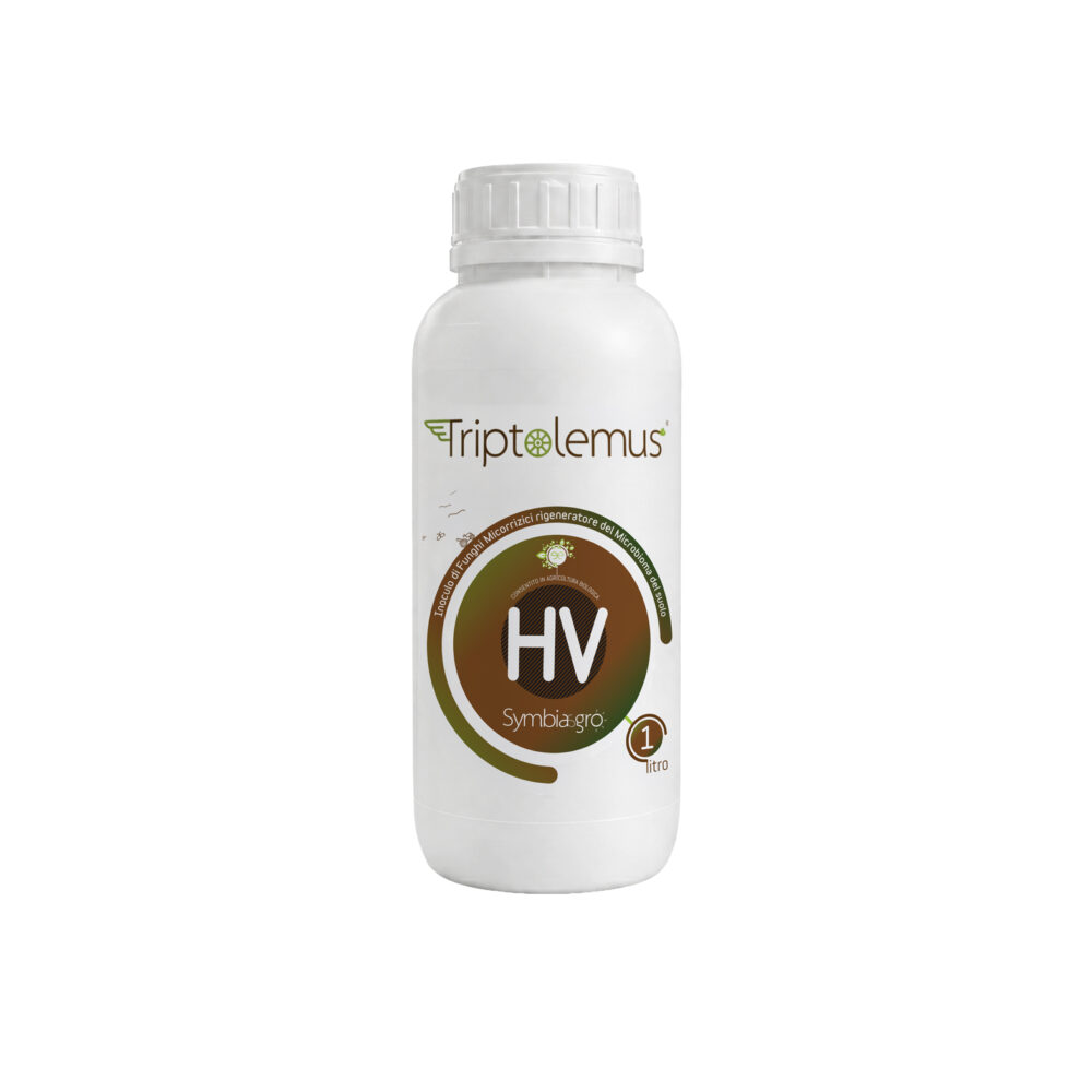 TRIPTOLEMUS HV